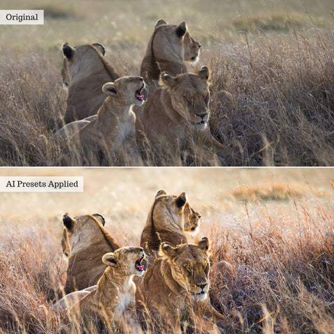 Landscape, Wildlife & Animals AI Adaptive Retouch Toolkit Lightroom Presets – Desktop & Mobile