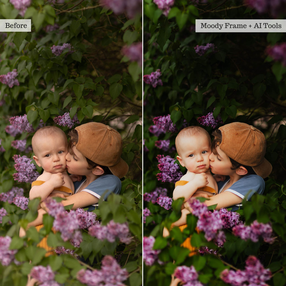 Luxe Portraits 2026 Lightroom Presets & AI Tools – Desktop & Mobile