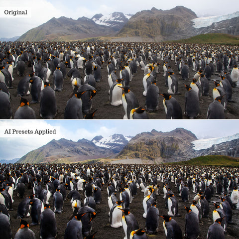 Landscape, Wildlife & Animals AI Adaptive Retouch Toolkit Lightroom Presets – Desktop & Mobile