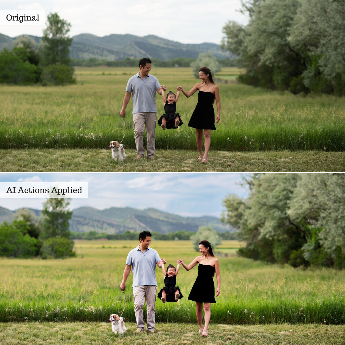 Luxe Quick Fix AI Photoshop Actions