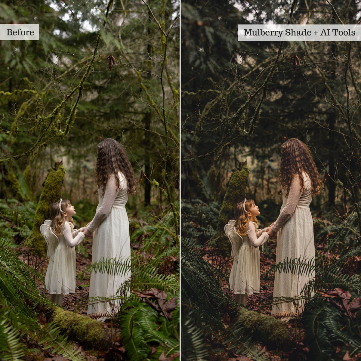 Earthy Moods 2026 Lightroom Presets & AI Powered Tools – Desktop & Mobile
