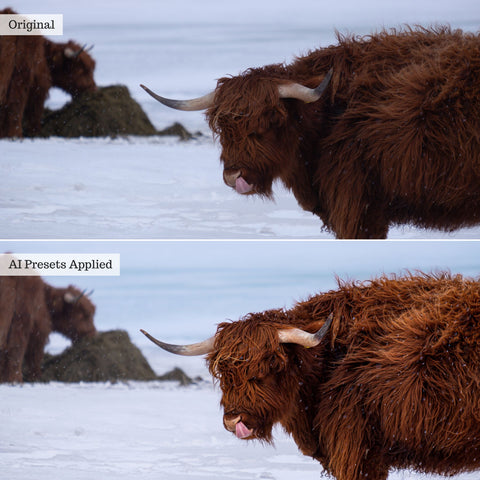 Landscape, Wildlife & Animals AI Adaptive Retouch Toolkit Lightroom Presets – Desktop & Mobile
