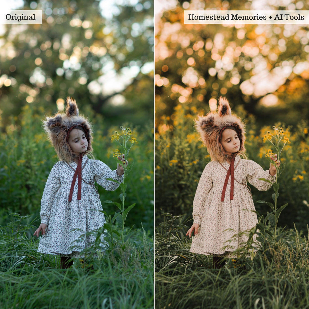Luxe Hint of Spice Autumn Lightroom Presets & AI Tools – Desktop & Mobile