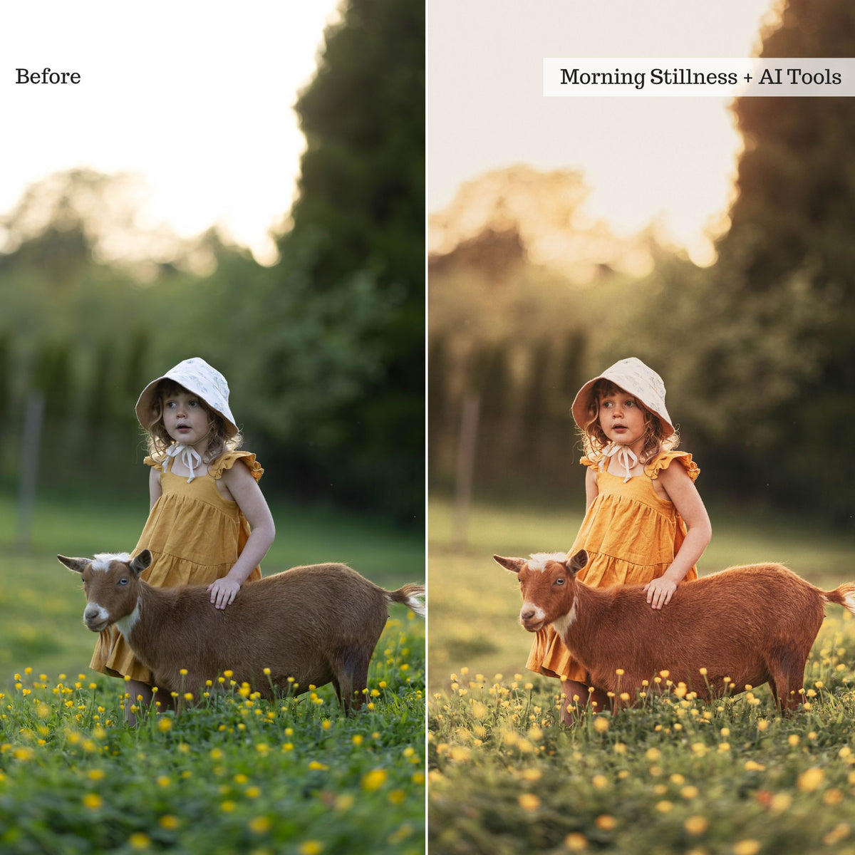 Earthy Moods 2026 Lightroom Presets & AI Powered Tools – Desktop & Mobile