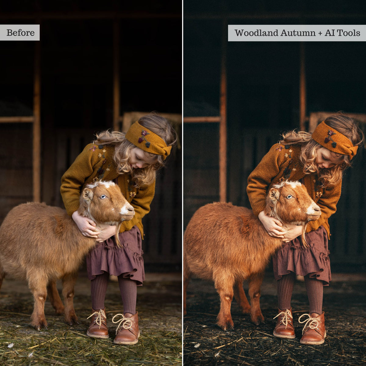 Earthy Moods 2026 Lightroom Presets & AI Powered Tools – Desktop & Mobile