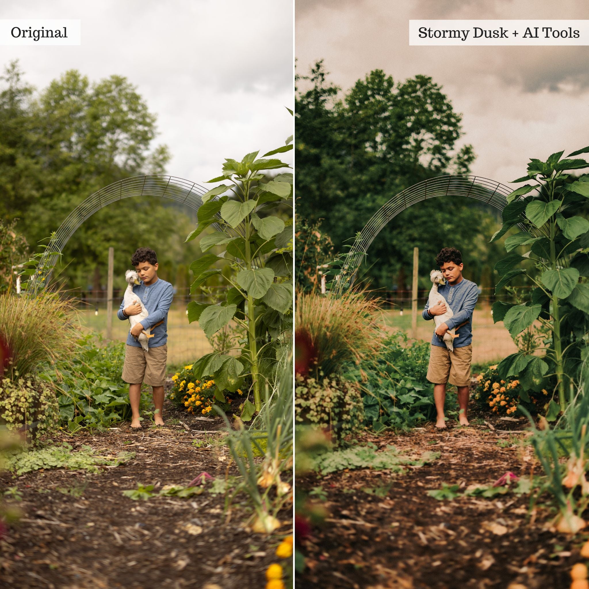 Rustic Photo Filter BRIXTON FILM | Rustic Farmhouse Lightroom Presets | Desktop & Mobile ...