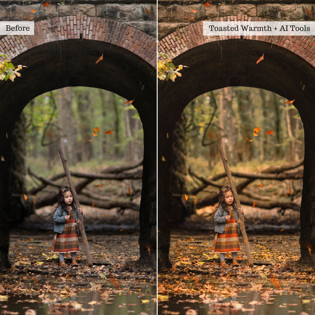 Earthy Moods 2026 Lightroom Presets & AI Powered Tools – Desktop & Mobile