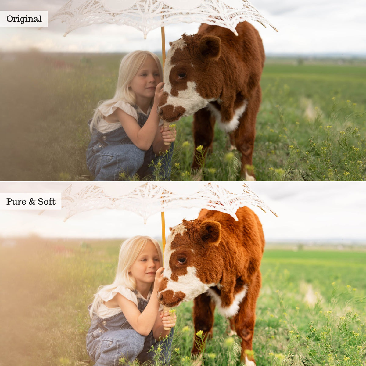 Luxe Pure Color Lightroom Presets & Profiles – Desktop & Mobile