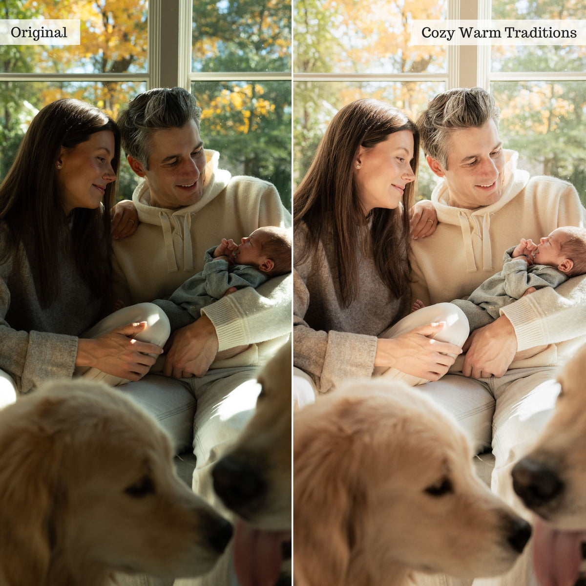 Portraits Preset Bundle (12 collections) for Lightroom & Photoshop