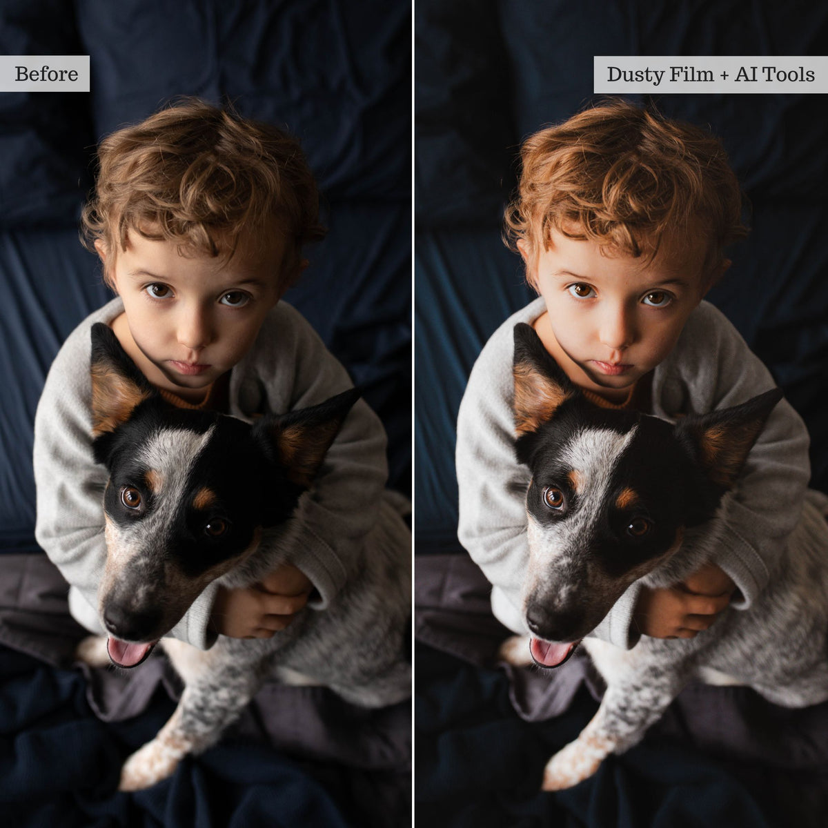 Luxe Portraits 2026 Lightroom Presets & AI Tools – Desktop & Mobile