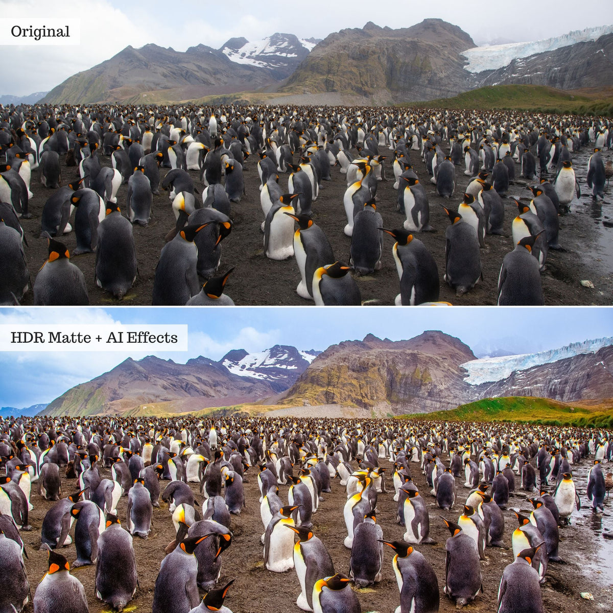 Elements - Landscapes & Wildlife 2.0 Lightroom Presets & AI Powered Tools – Desktop & Mobile