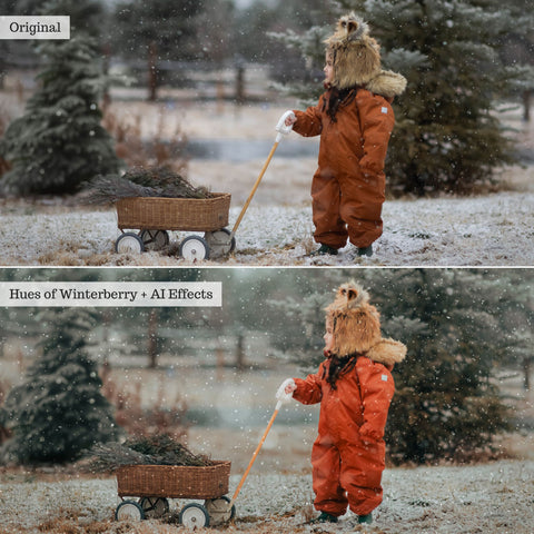 2026 Everything, Entire Store Lightroom Preset Bundle (89 Collections!)