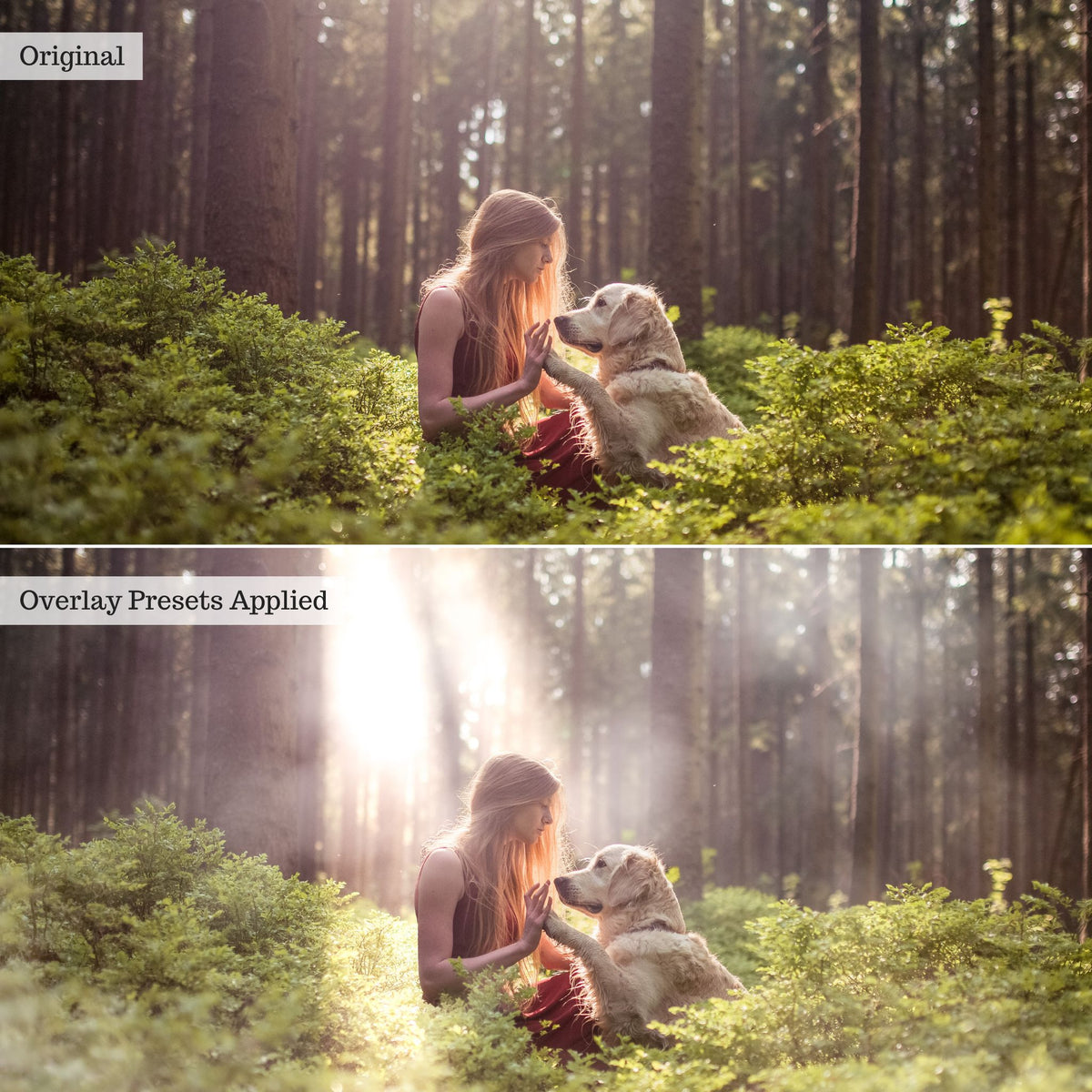 Luxe Overlay Lightroom Presets – Desktop & Mobile
