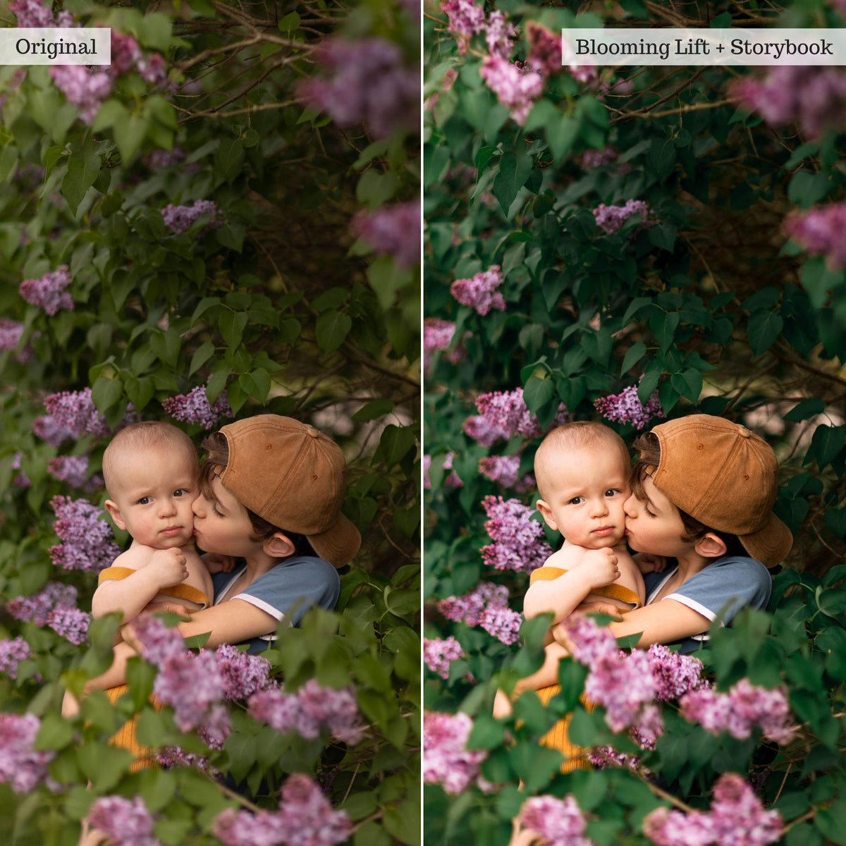 Portraits Preset Bundle (14 collections) for Lightroom & Photoshop