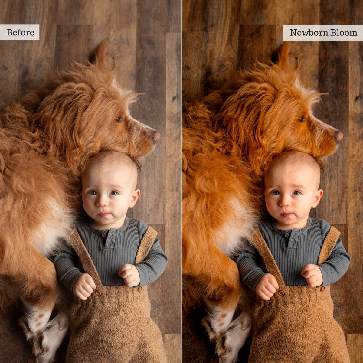 Luxe Indoor Family Lightroom Presets & AI Tools – Desktop & Mobile