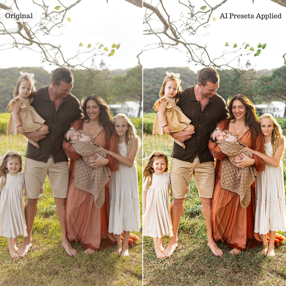 Luxe Portrait AI Adaptive Retouch Toolkit Lightroom Presets – Desktop & Mobile