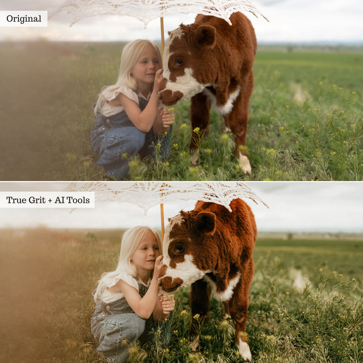 Rustic Farmhouse Lightroom Presets & AI Powered Tools – Desktop & Mobile