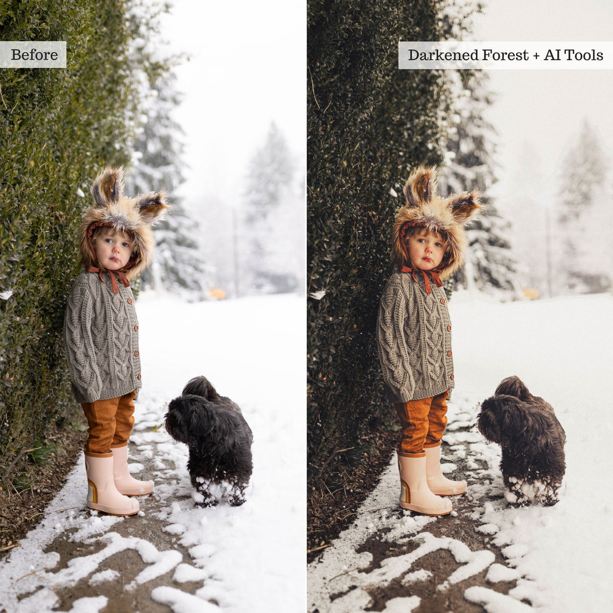 Earthy Moods 2026 Lightroom Presets & AI Tools – Desktop & Mobile