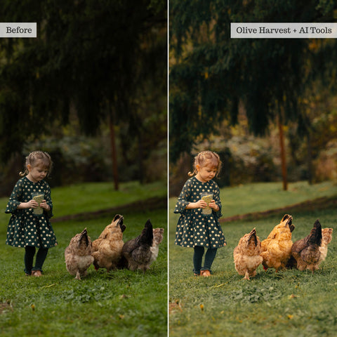 Earthy Moods 2026 Lightroom Presets & AI Tools – Desktop & Mobile