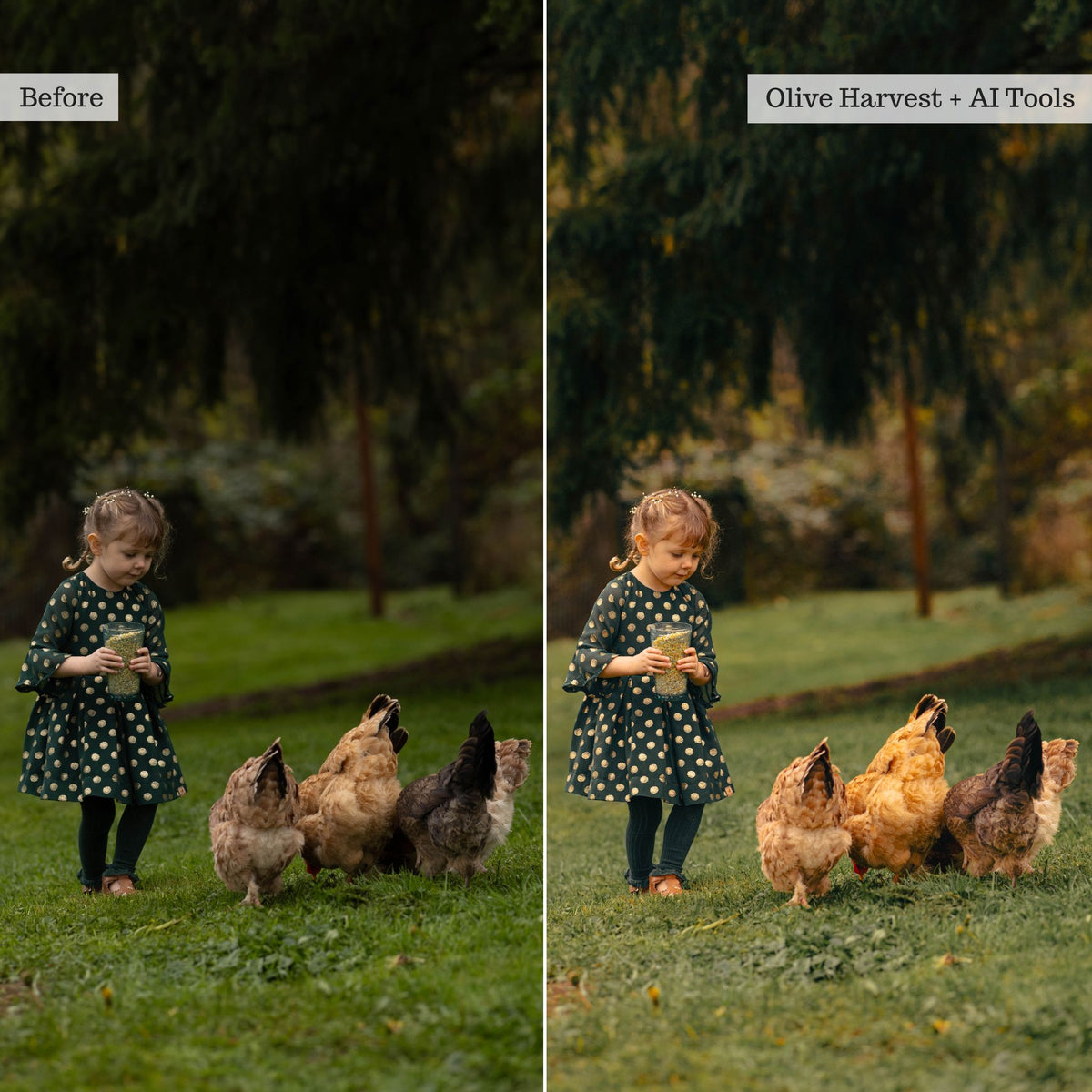 Earthy Moods 2026 Lightroom Presets & AI Tools – Desktop & Mobile