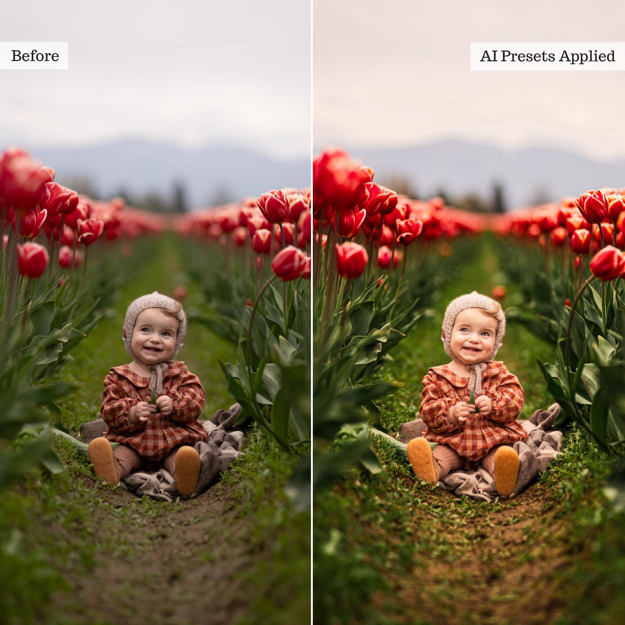 Luxe Quick Fix 2026 AI Adaptive Retouch Toolkit Lightroom Presets – Desktop & Mobile