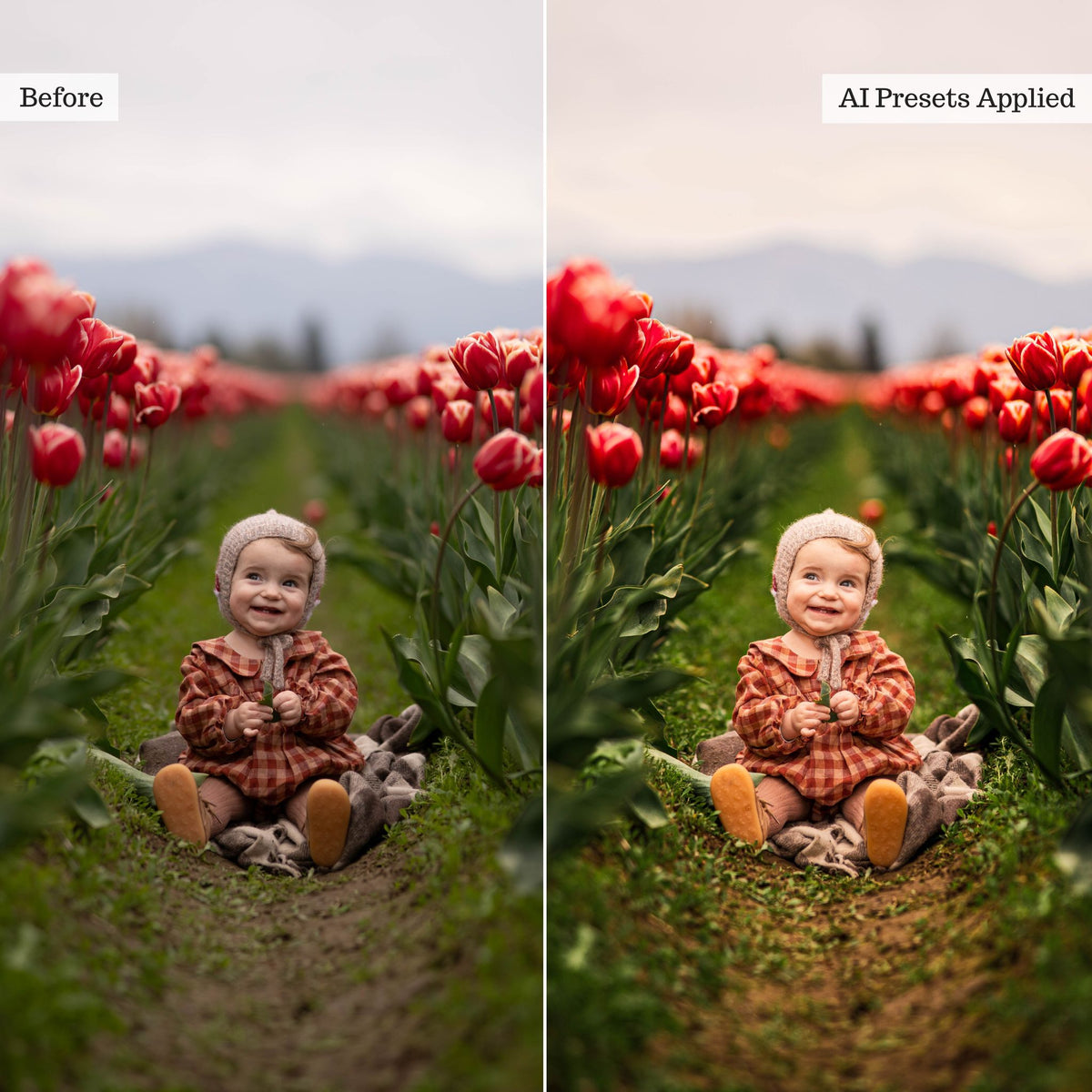 Luxe Quick Fix 2026 AI Adaptive Retouch Toolkit Lightroom Presets – Desktop & Mobile
