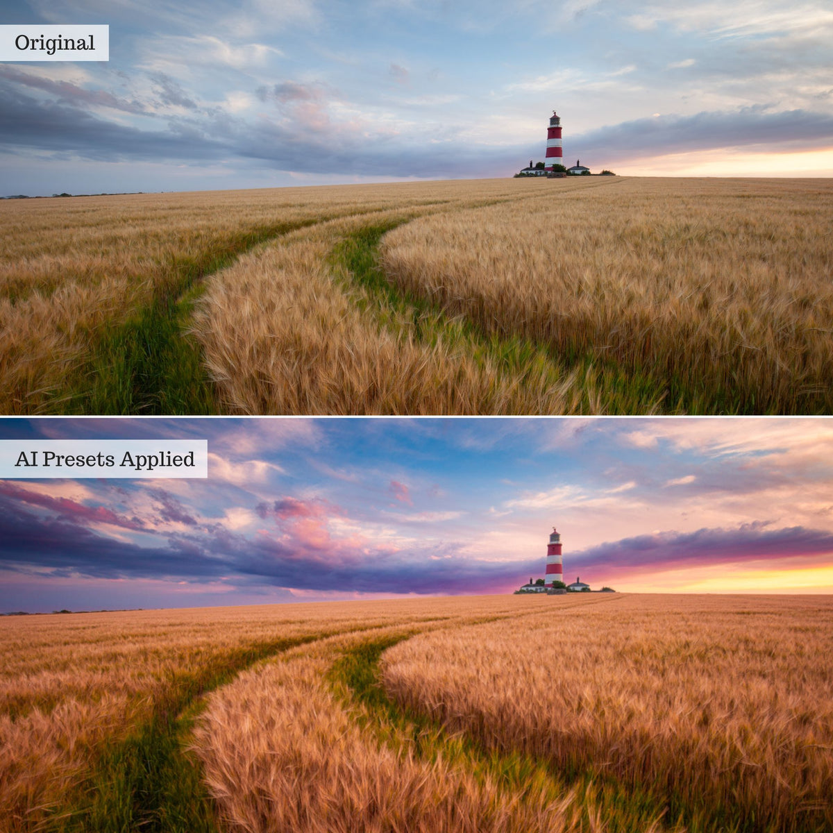 Rapid Retouch AI Adaptive Presets by PhotogAI