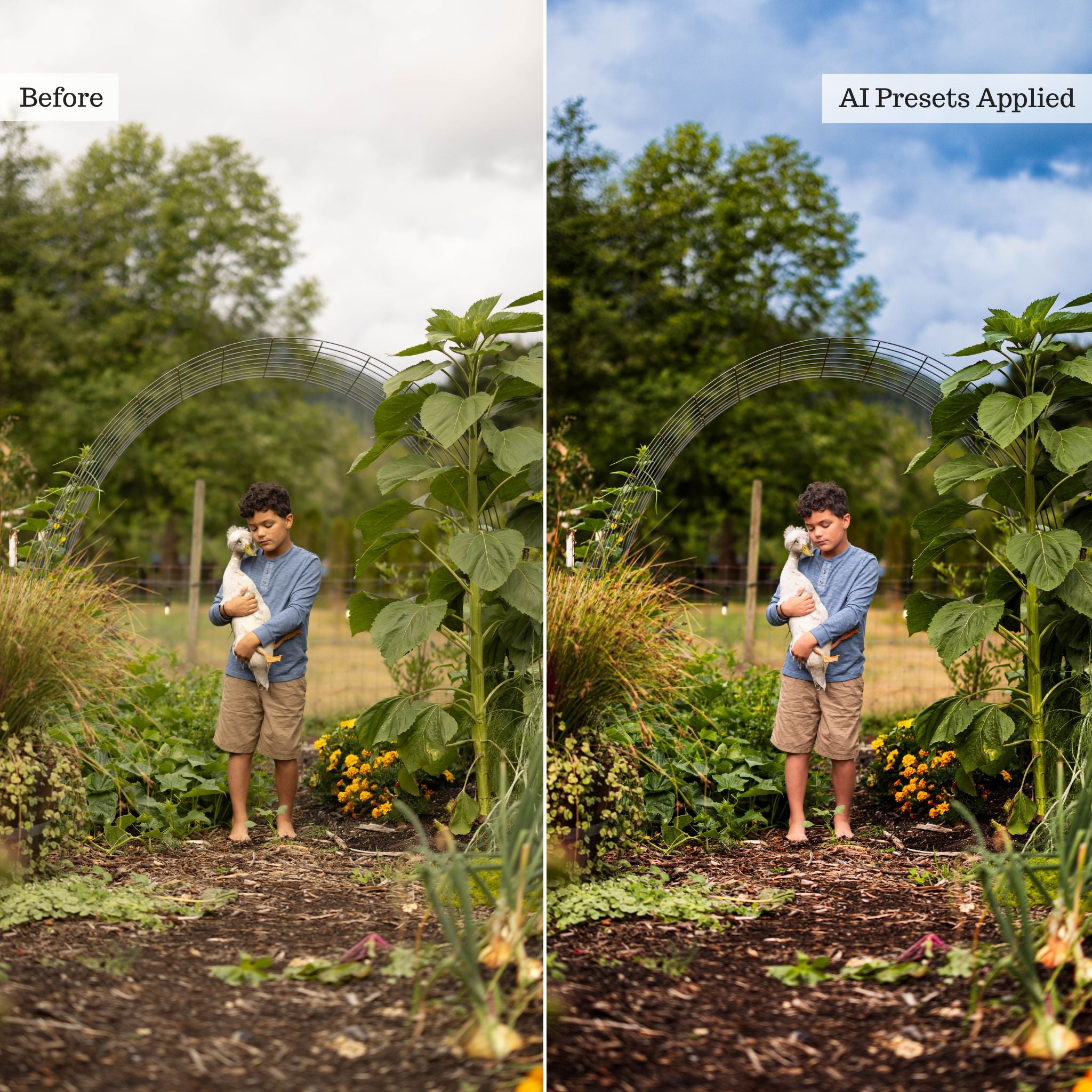 Luxe Quick Fix 2026 AI Adaptive Retouch Toolkit Lightroom Presets – Desktop & Mobile