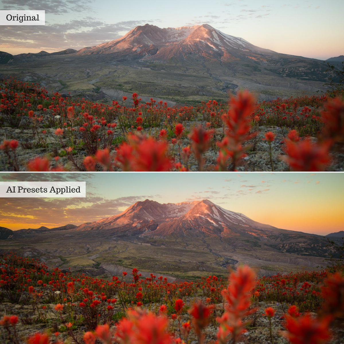 Rapid Retouch AI Adaptive Presets by PhotogAI