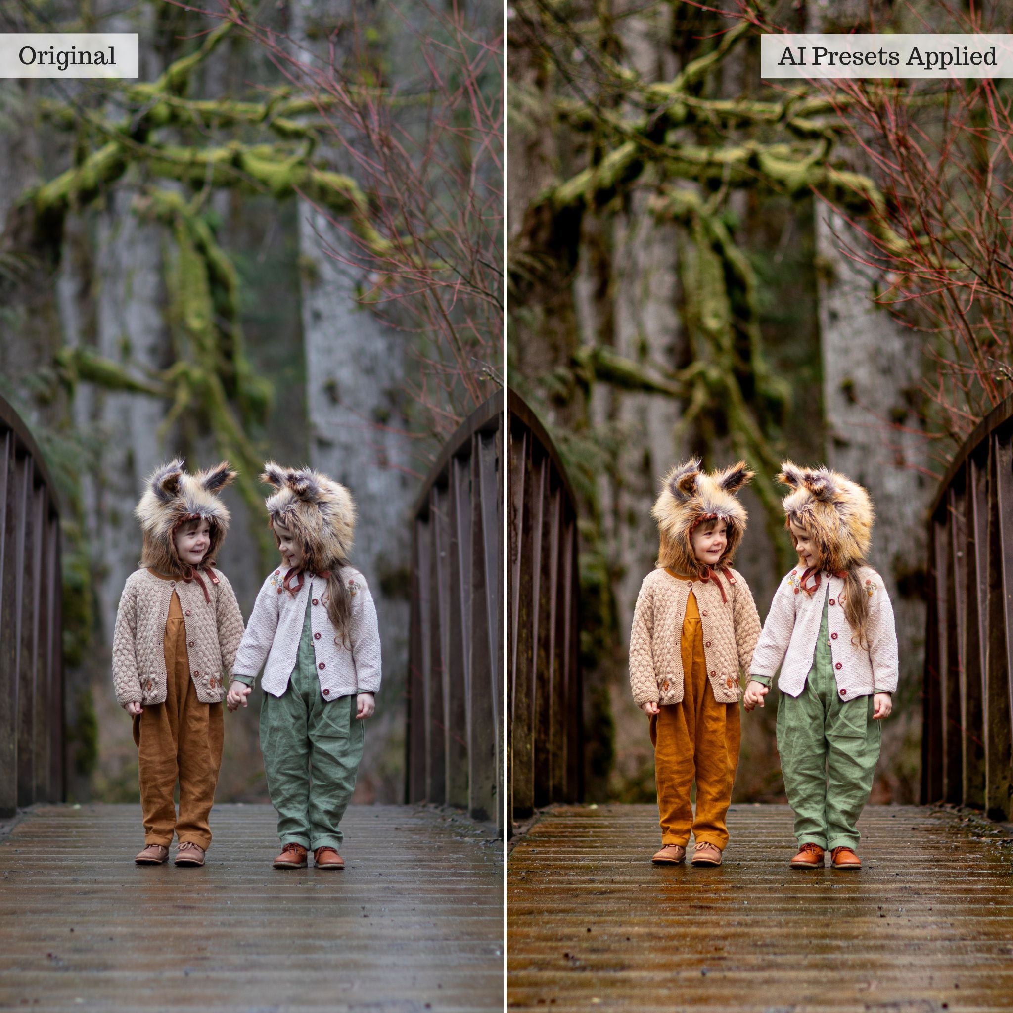 Luxe Quick Fix AI Adaptive Retouch Toolkit Lightroom Presets – Desktop & Mobile