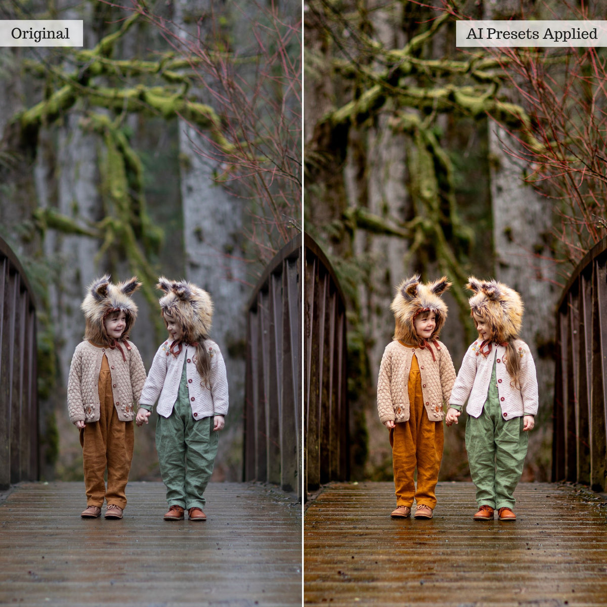 Luxe Quick Fix AI Adaptive Retouch Toolkit Lightroom Presets – Desktop & Mobile