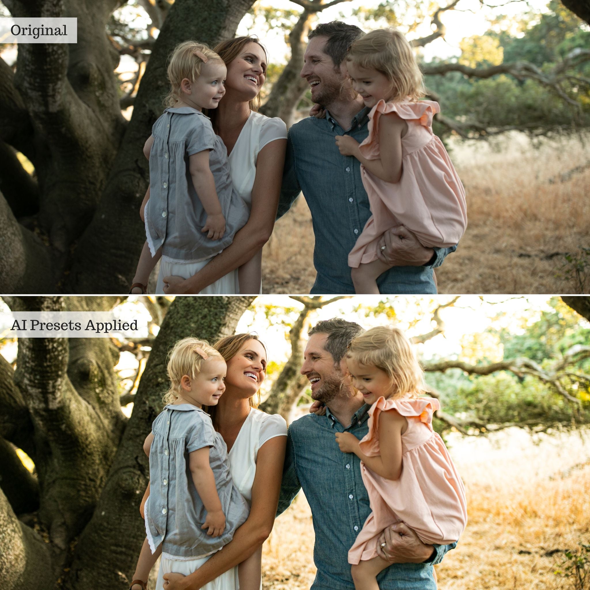 Rapid Retouch AI Adaptive Presets by PhotogAI