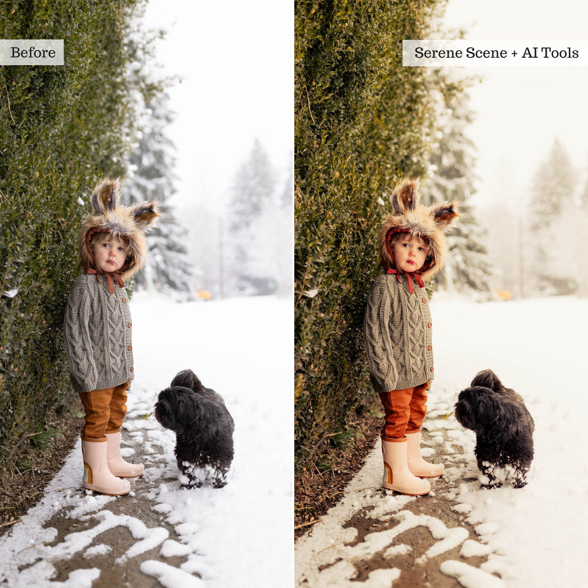 On the Farm 2.0 Lightroom Presets & AI Tools– Desktop & Mobile