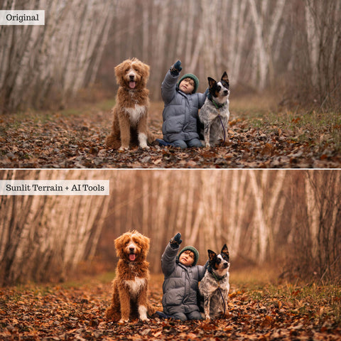Luxe Golden Hour 2.0 Lightroom Presets & AI Tools – Desktop & Mobile