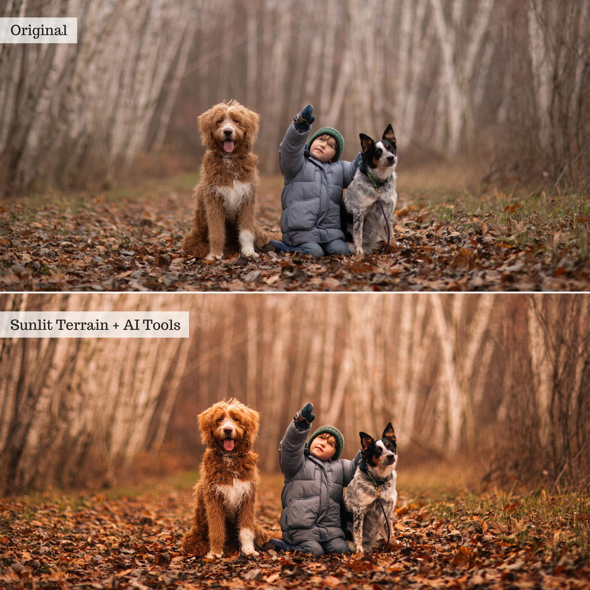 Luxe Golden Hour 2.0 Lightroom Presets – Desktop & Mobile