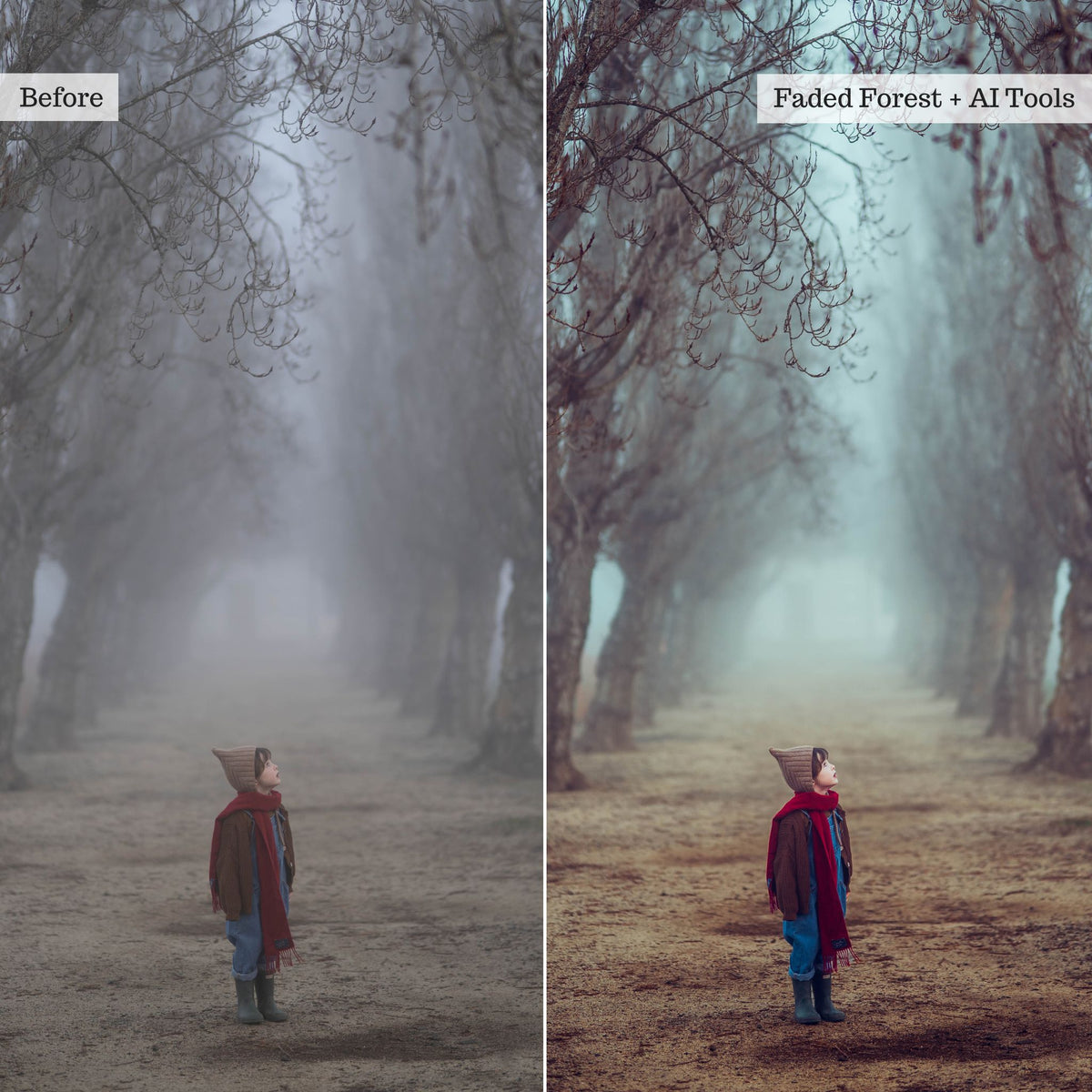 Essentials Lightroom Presets & AI Tools v2.0 – Desktop & Mobile