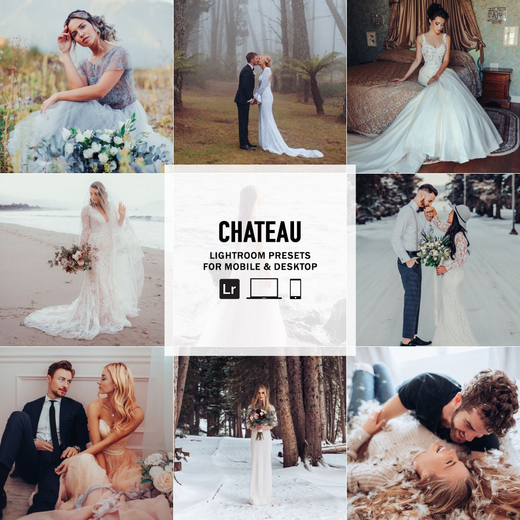 Chateau - Single Color Palette Lightroom Presets & AI Tools