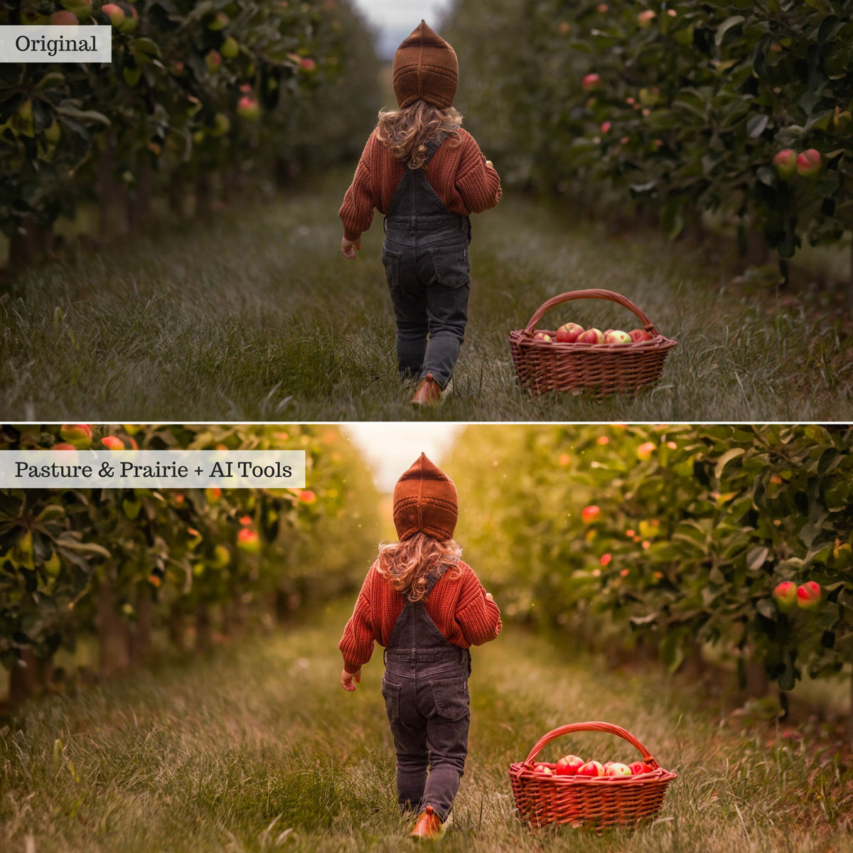 On the Farm 2.0 Lightroom Presets & AI Tools– Desktop & Mobile