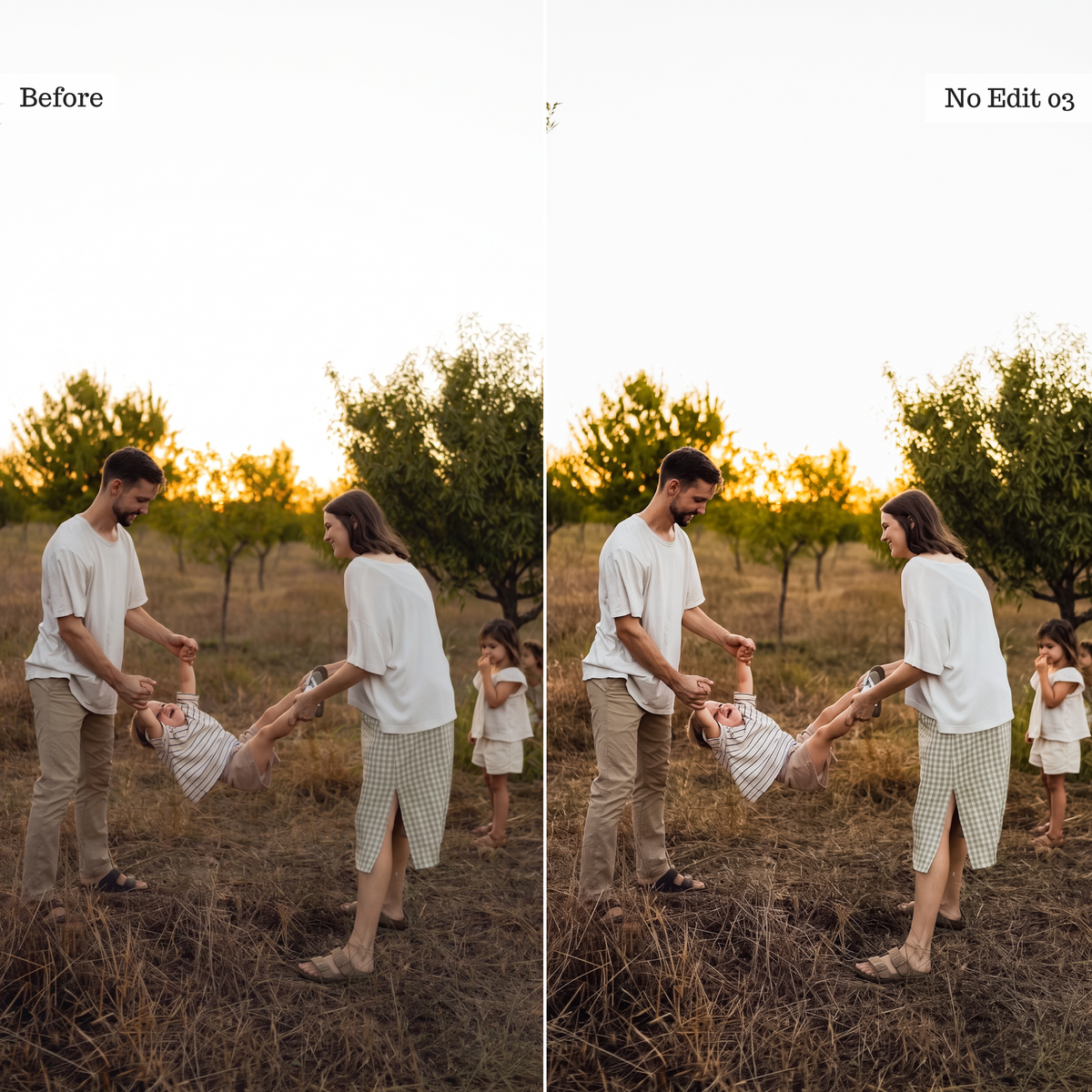 The Everyday Edit - Luxe Creator Palette Presets for Lightroom Mobile & Desktop
