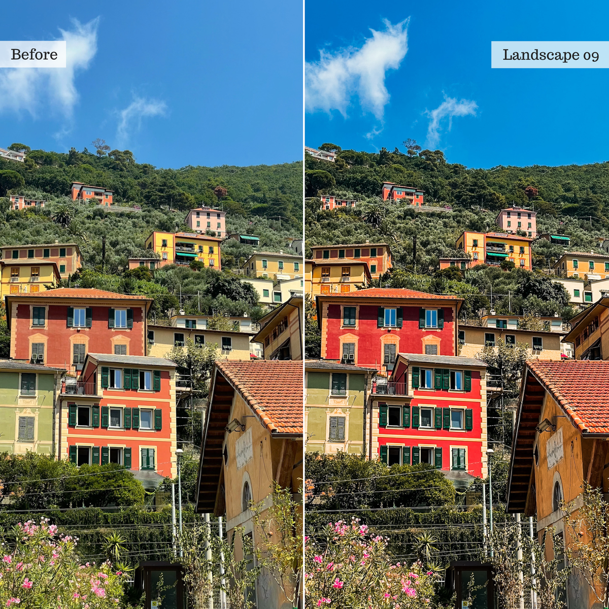 The Everyday Edit - Luxe Creator Palette Presets for Lightroom Mobile & Desktop