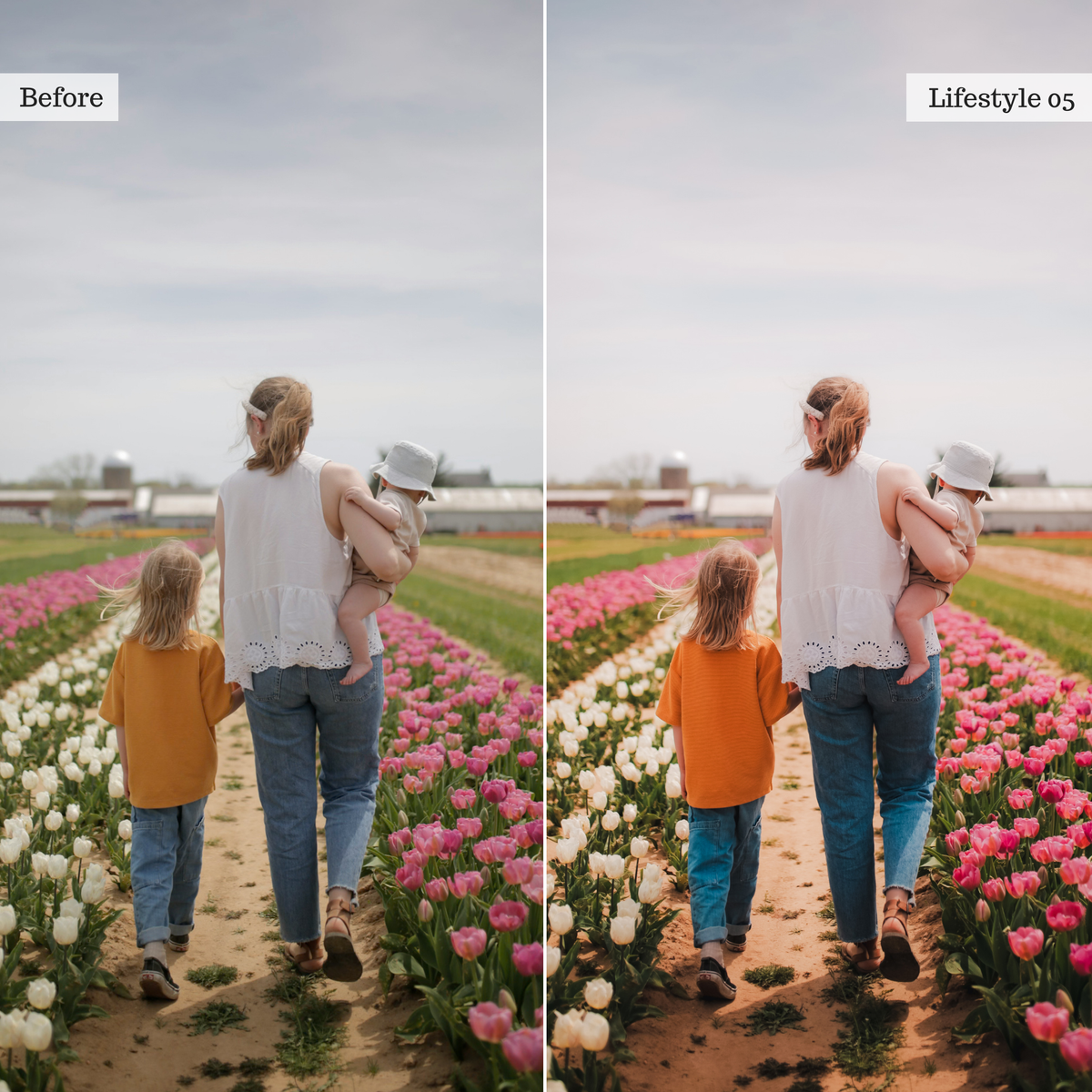 The Everyday Edit - Luxe Creator Palette Presets for Lightroom Mobile & Desktop