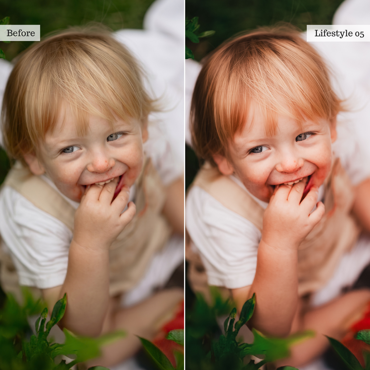 The Everyday Edit - Luxe Creator Palette Presets for Lightroom Mobile & Desktop