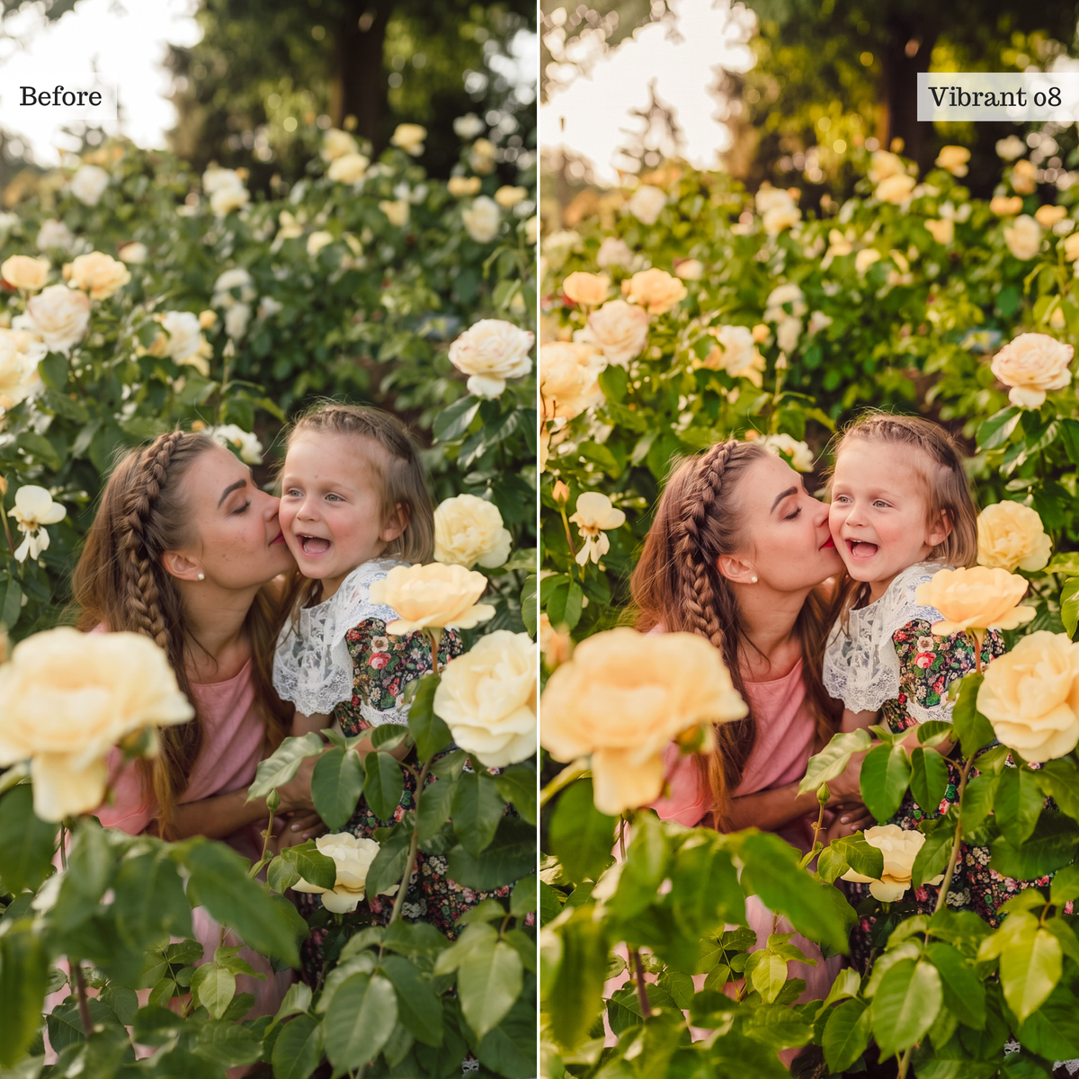 The Everyday Edit - Luxe Creator Palette Presets for Lightroom Mobile & Desktop
