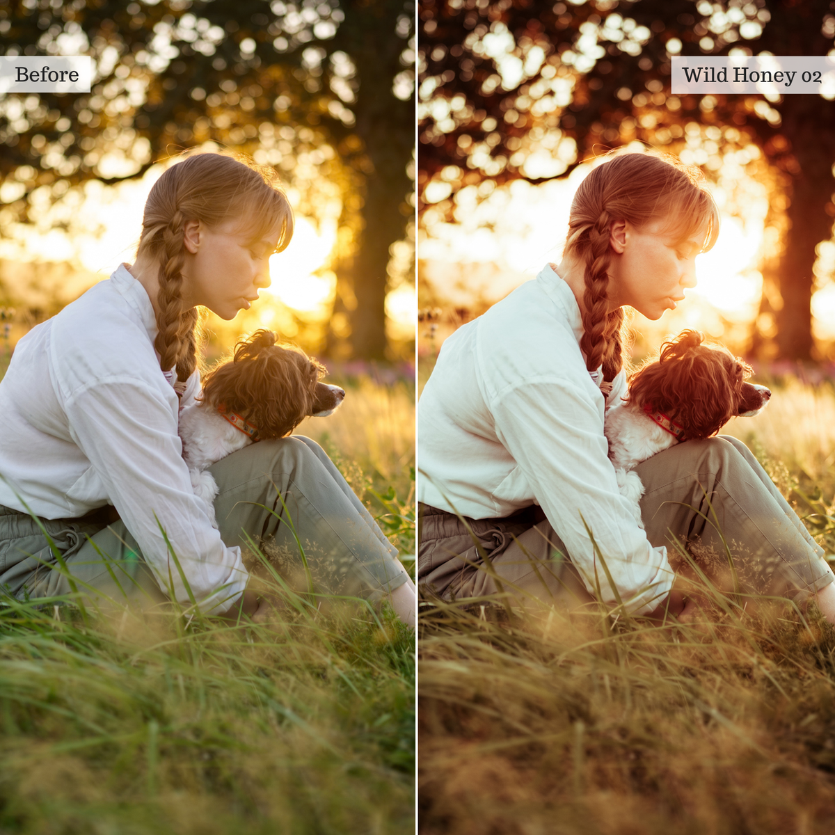 The Golden Edit - Luxe Creator Palette Presets for Lightroom Mobile & Desktop