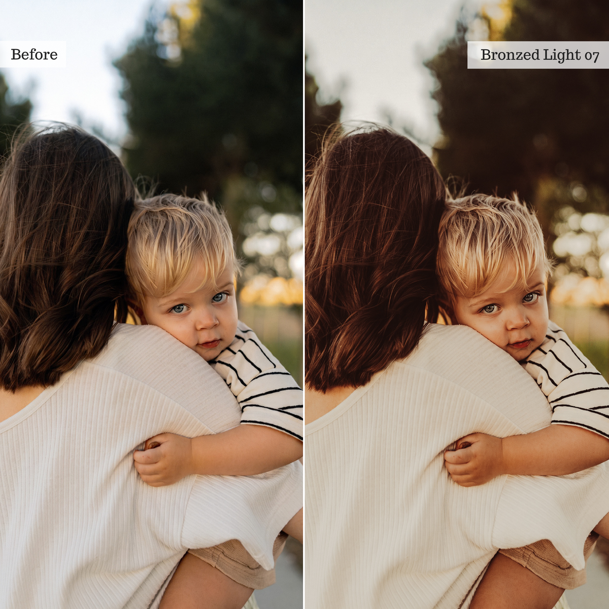 The Golden Edit - Luxe Creator Palette Presets for Lightroom Mobile & Desktop