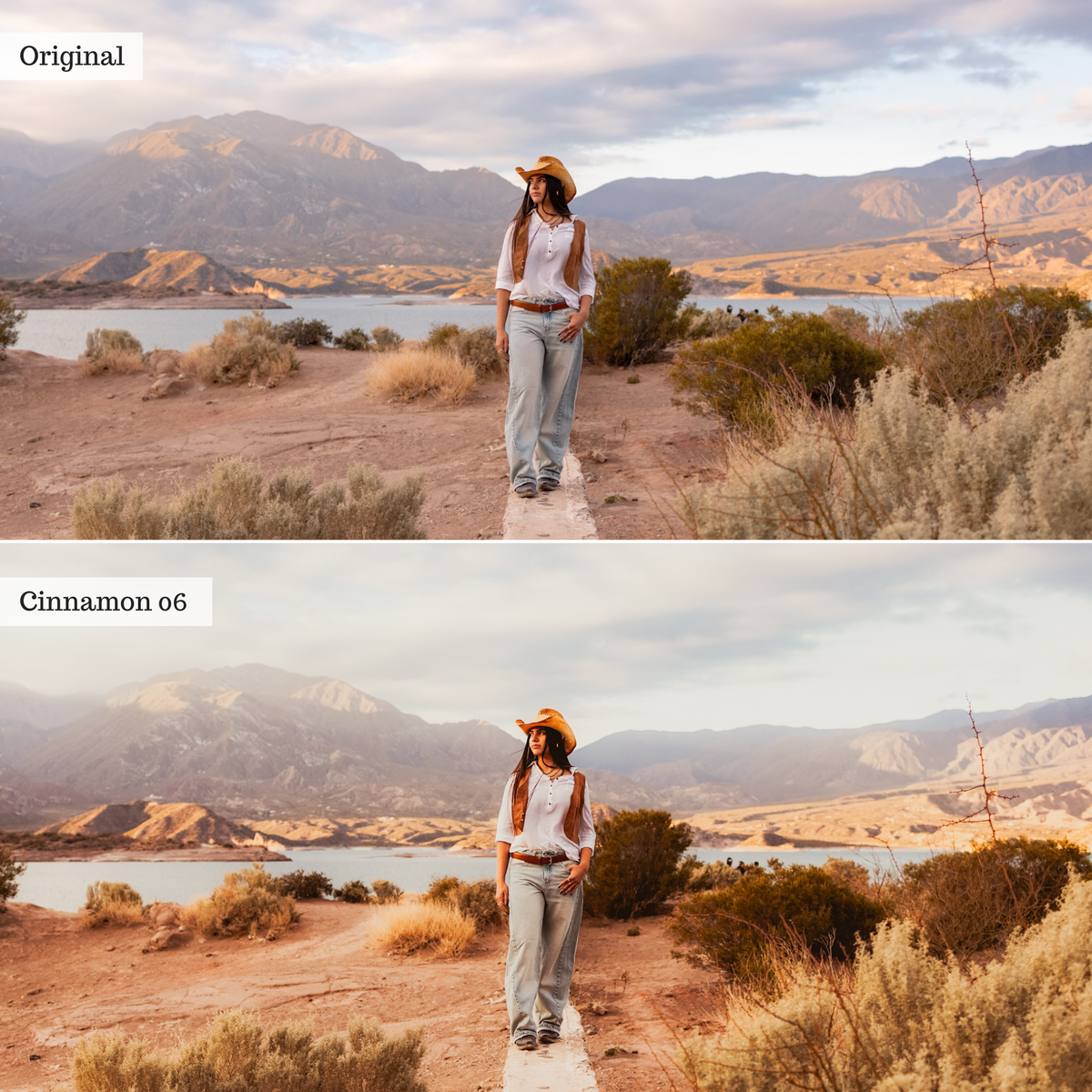 The Golden Edit - Luxe Creator Palette Presets for Lightroom Mobile & Desktop