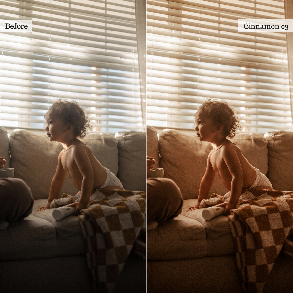 The Golden Edit - Luxe Creator Palette Presets for Lightroom Mobile & Desktop