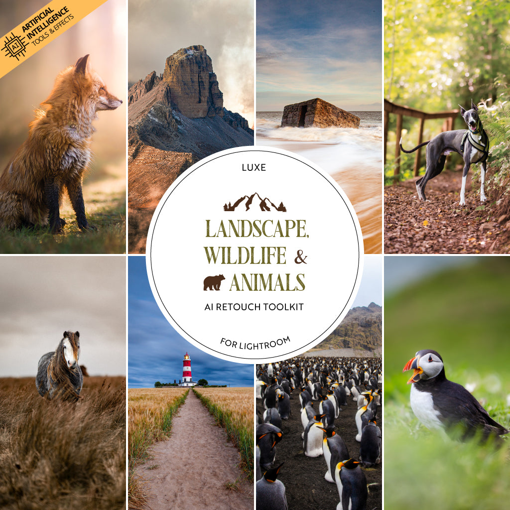 Landscape, Wildlife & Animals AI Adaptive Retouch Toolkit Lightroom Presets – Desktop & Mobile