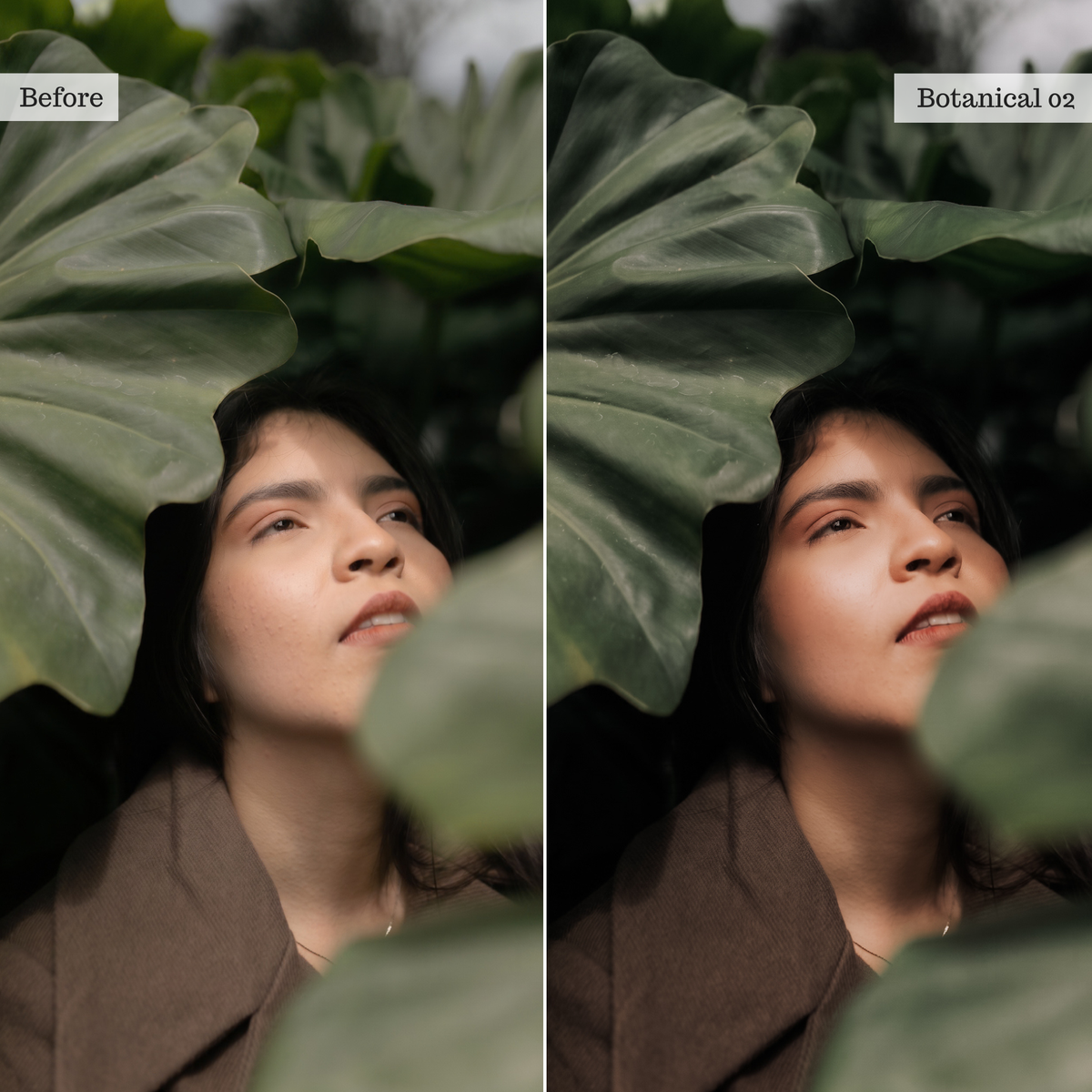 The Mood Edit - Luxe Creator Palette Presets for Lightroom Mobile & Desktop