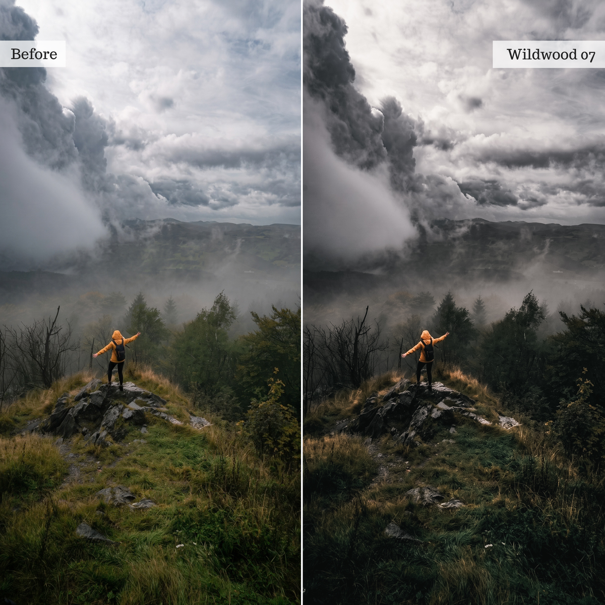 The Mood Edit - Luxe Creator Palette Presets for Lightroom Mobile & Desktop